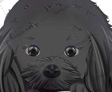 くりくりお目々の可愛い動物のイラスト描きます イメージ1