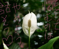 パニック障害 ご家族の気持ち聞きます イメージ1