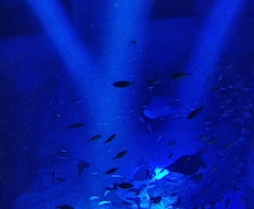 デザインアートワーク承ります イメージ1