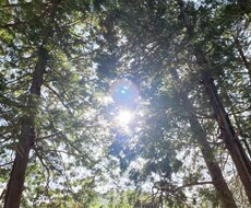 死にたいほど苦しく辛い方、お話聞かせていただきます イメージ1