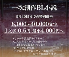 お急ぎオプション有 創作BL中・長編小説書きます イメージ1