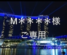 M＊＊＊＊＊様ご専用ページとなります 他とは違う！光るレジュメ、カバーレターお作りします！