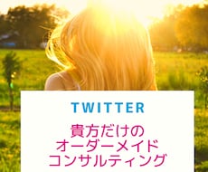 ツイッター初心者向け・二人三脚コンサルします 拡散・宣伝・集客はオプションでカスタマイズします!!