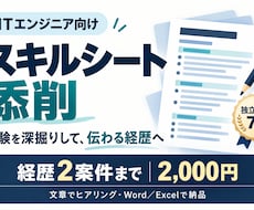 独立支援7年の経験でスキルシートを添削します イメージ1
