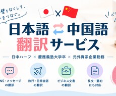 日中ハーフ！自然な中国語⇄日本語に翻訳します イメージ1