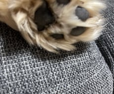 あなたの味方になります イメージ1