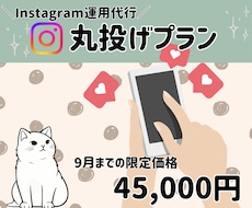 集客サポート♪1か月インスタ運用代行します 1か月お試しで、インスタ運用丸投げしませんか？
