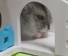 眠れない時に話をします イメージ1