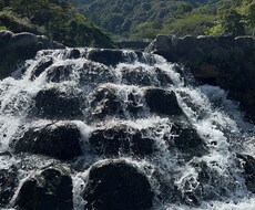 あなたの生きづらさを聞かせて頂きます イメージ1