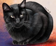猫ちゃんの似顔絵、デフォルメなど作成します