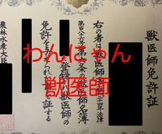 現役獣医師に直接質問！　犬猫の相談なんでものります イメージ1