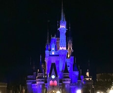ニーズに沿ったディズニーのプランニングをします キャスト現場経験を活かした安心のプランをご提案