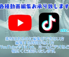 丸投げ可！各種動画編集、なんでもお承り致します イメージ1