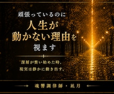 頑張っているのに人生が動かない理由を視ます イメージ1