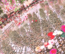 なーんでも聞きます♪ます イメージ1