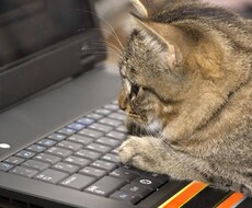 Excel VBA 開発・修正なんでもやります ビジネス等で日々行う面倒な作業がボタン一つで終わります！