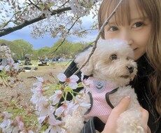 20通〜相談なんでも承ります イメージ1