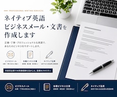 ネイティブ英語ビジネスメール・文書を作成します イメージ1
