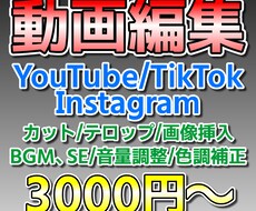 格安で動画編集をいたします イメージ1