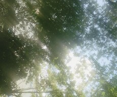 あなたの気持ちにそっと寄り添います イメージ1