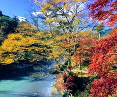 3日間何でもお話し聞きます イメージ1