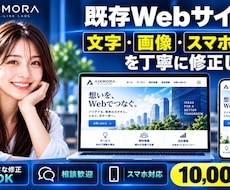 既存Webサイトの軽微修正をします イメージ1