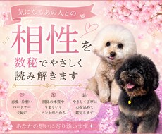 気になるあの人との相性を数秘でやさしく読み解きます イメージ1