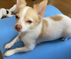 悩み事を相談する友だちがいない人の相談聴きます イメージ1