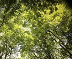 どんな話しでも聞きます イメージ1