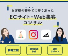 初めてのECサイト・Web集客コンサル3ヶ月します 集客の目的整理から戦略決定→運用計画作成→運用サポートまで