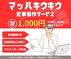 プロのライターが各種記事の制作を承ります イメージ1
