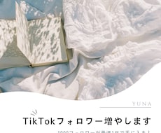 Tiktokのフォロワー1000人増やします イメージ1