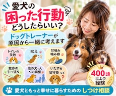 愛犬の困った行動・しつけの相談に乗ります イメージ1