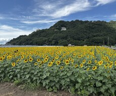 あなたのその悩み解決します イメージ1