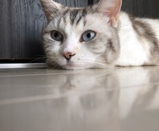 人間関係の築き方お伝えします イメージ1