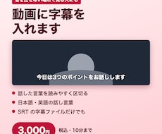 話す動画に読みやすい字幕をつけます イメージ1