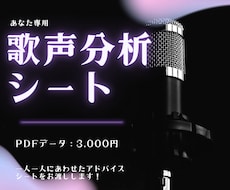 あなた専用の歌声分析シートを作成します 【自分の声の長所・改善点が知りたい方へ】