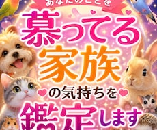 あなたを慕う家族の本音をお届けいたします 虹の橋の子も鑑定可能あの子の想い、心の声を丁寧にお届けします