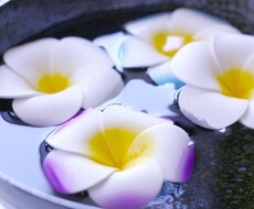 イエスかノーか？良いか悪いかタロットで鑑定します 写真付き☆おまけで、アドバイスカードを1枚引きます
