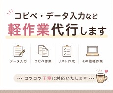 データ入力・コピペ・軽作業など丁寧に対応します イメージ1