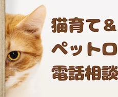 猫育て＆ペットロス電話相談承ります イメージ1