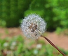 プロがあなたのお話（愚痴や悩み）聴きます イメージ1