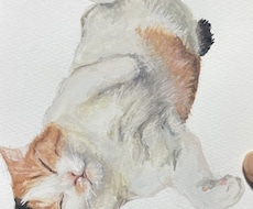 写真そっくりのイラストを描きます イメージ1