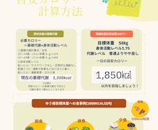 痩身エステ店様向け　栄養指導代行します イメージ1