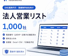 企業SNS保有法人営業リスト1000社を納品します イメージ1