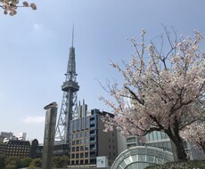 愛知県の観光について紹介します イメージ1