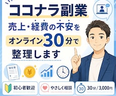 ココナラ副業｜経理整理相談（30分）のります イメージ1