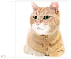 シンプルな猫のイラストを描きます イメージ1