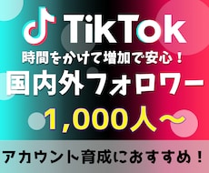 TikTokフォロワー 1,000人～増加させます 10代～30代向けSNSの決定版！安心！高品質！