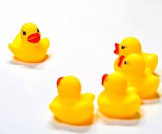 イジメに悩んでいる人のお話ききます イメージ1